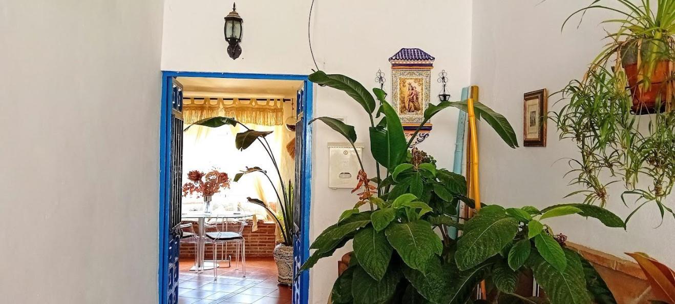 Posada Puente Romano Sedella Екстер'єр фото